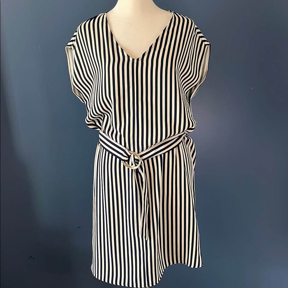 H&M sz4, sleeveless sheath dress with belt. Navy and cream pinstripes, easy care